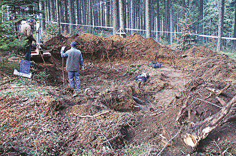 ��������� - ������� - ��������